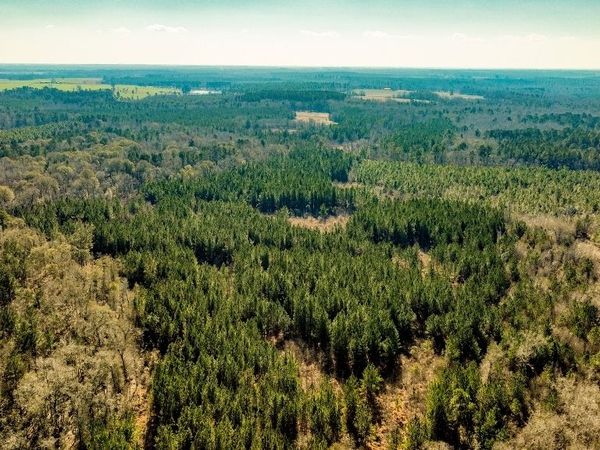 0 Crooked Road, Unit TRACT 2, Millen, GA 30442