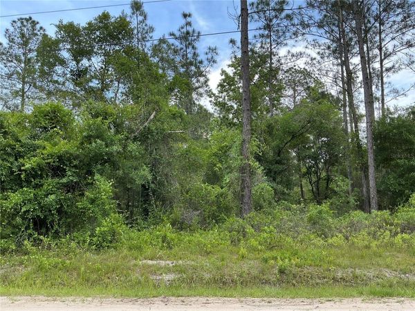 10730 BECKENGER AVENUE , HASTINGS, FL 32145