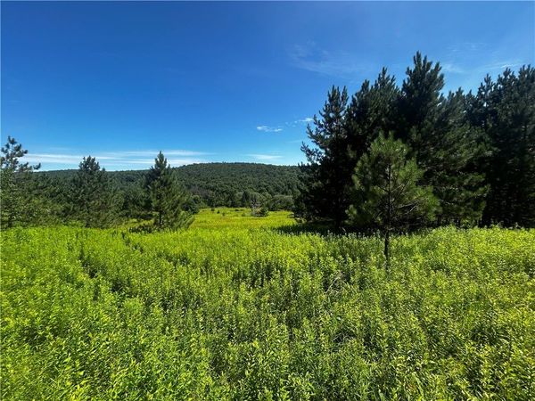 Mary Brown Hill Road , Laurens, NY 13796