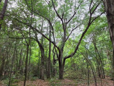 00 Cooper Lane, Summerton, SC 29148