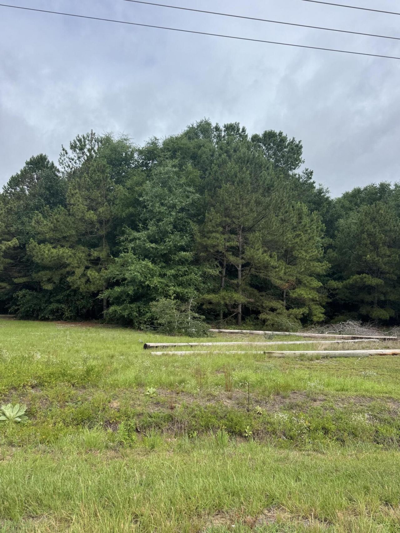 00 Cooper Lane Photo 11