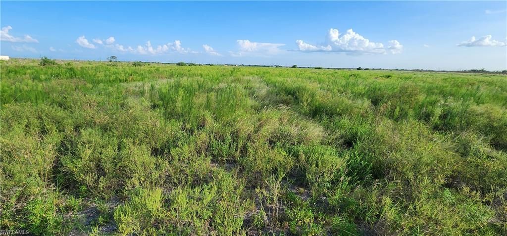 6875 7th Rd , Labelle, FL 33935 Photo
