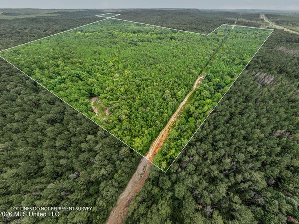 0 E Of Hwy 45 , Waynesboro, MS 39367
