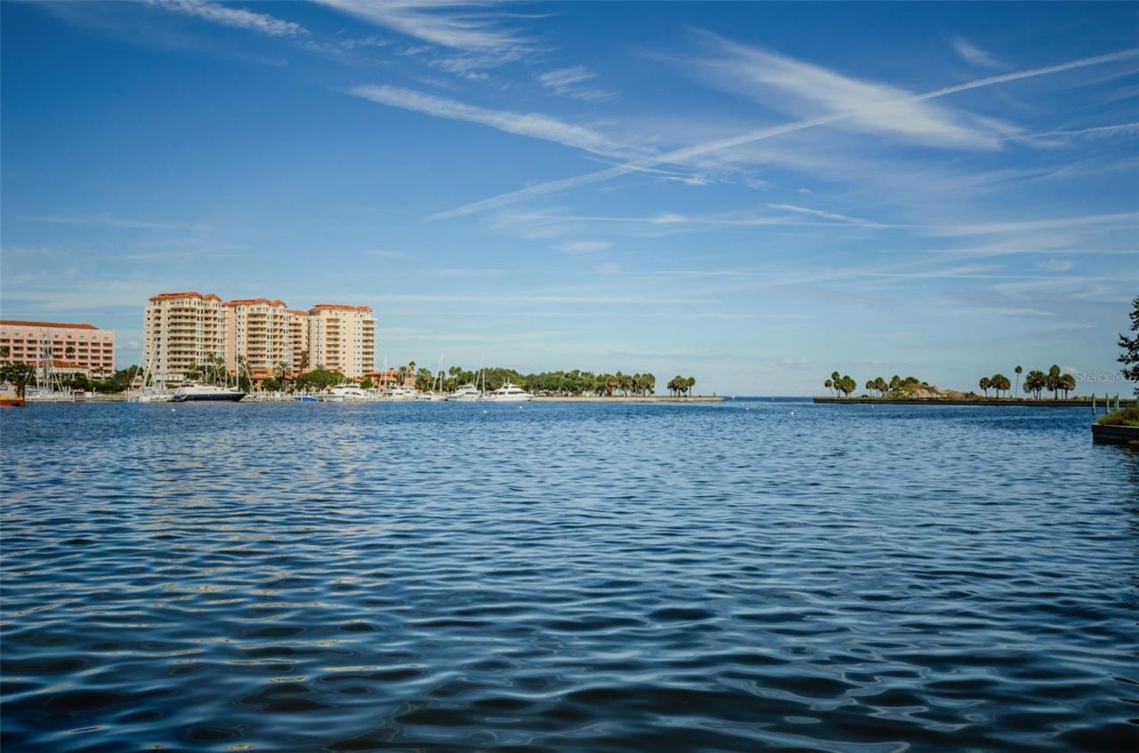 175 2nd Street S, Unit P04, Saint Petersburg, FL 33701 Photo