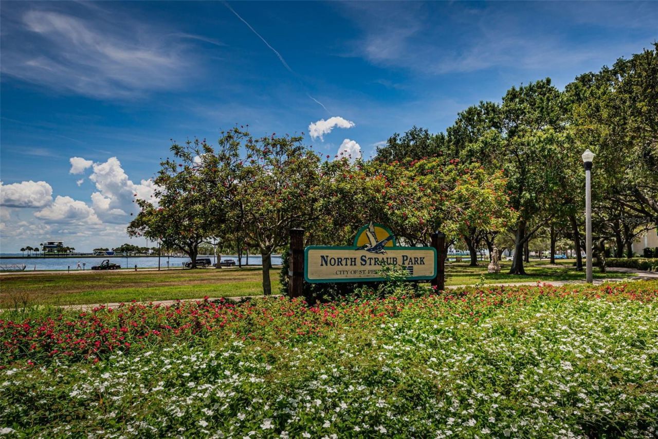 175 2nd Street S, Unit P04, Saint Petersburg, FL 33701 Photo