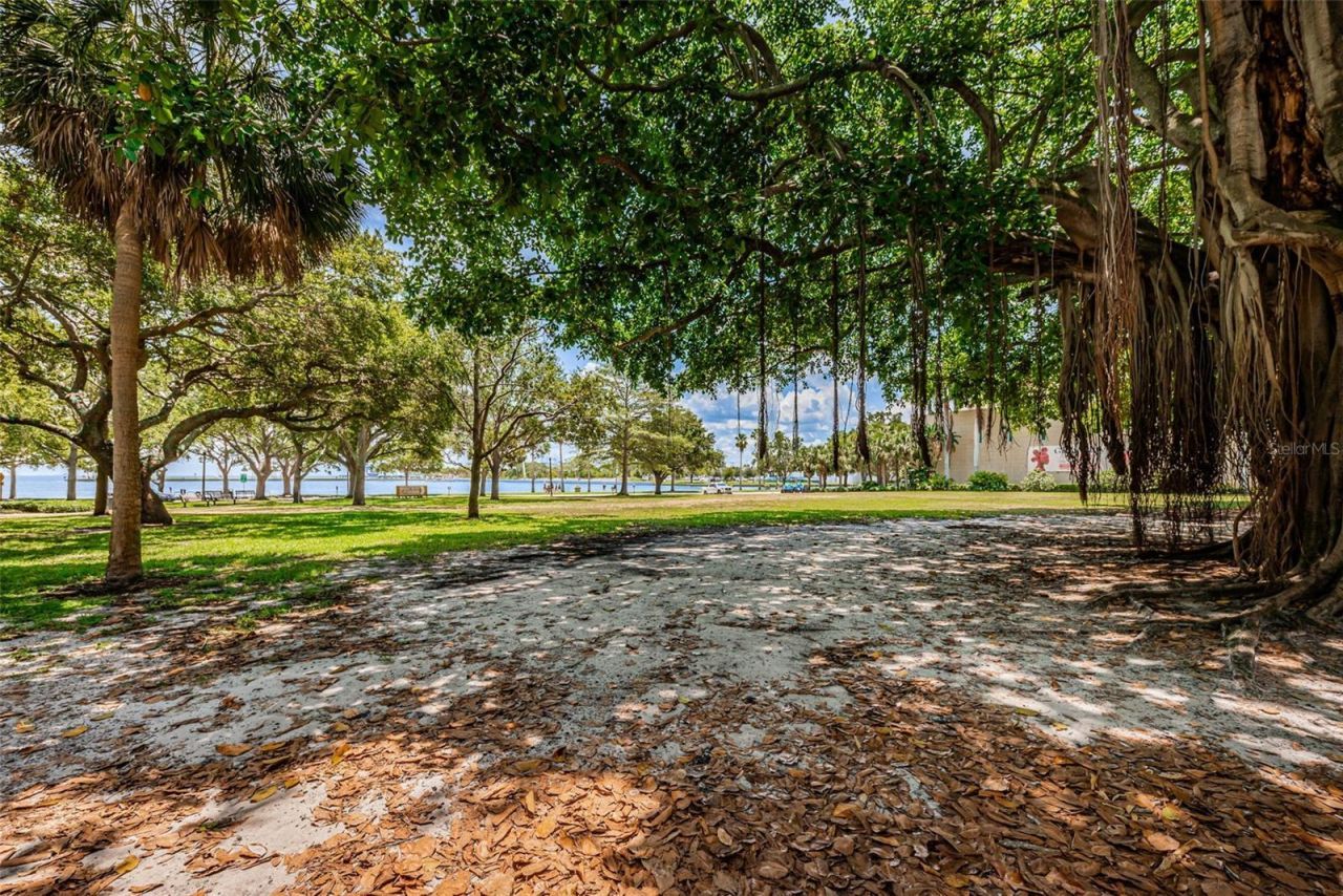 175 2nd Street S, Unit P04, Saint Petersburg, FL 33701 Photo