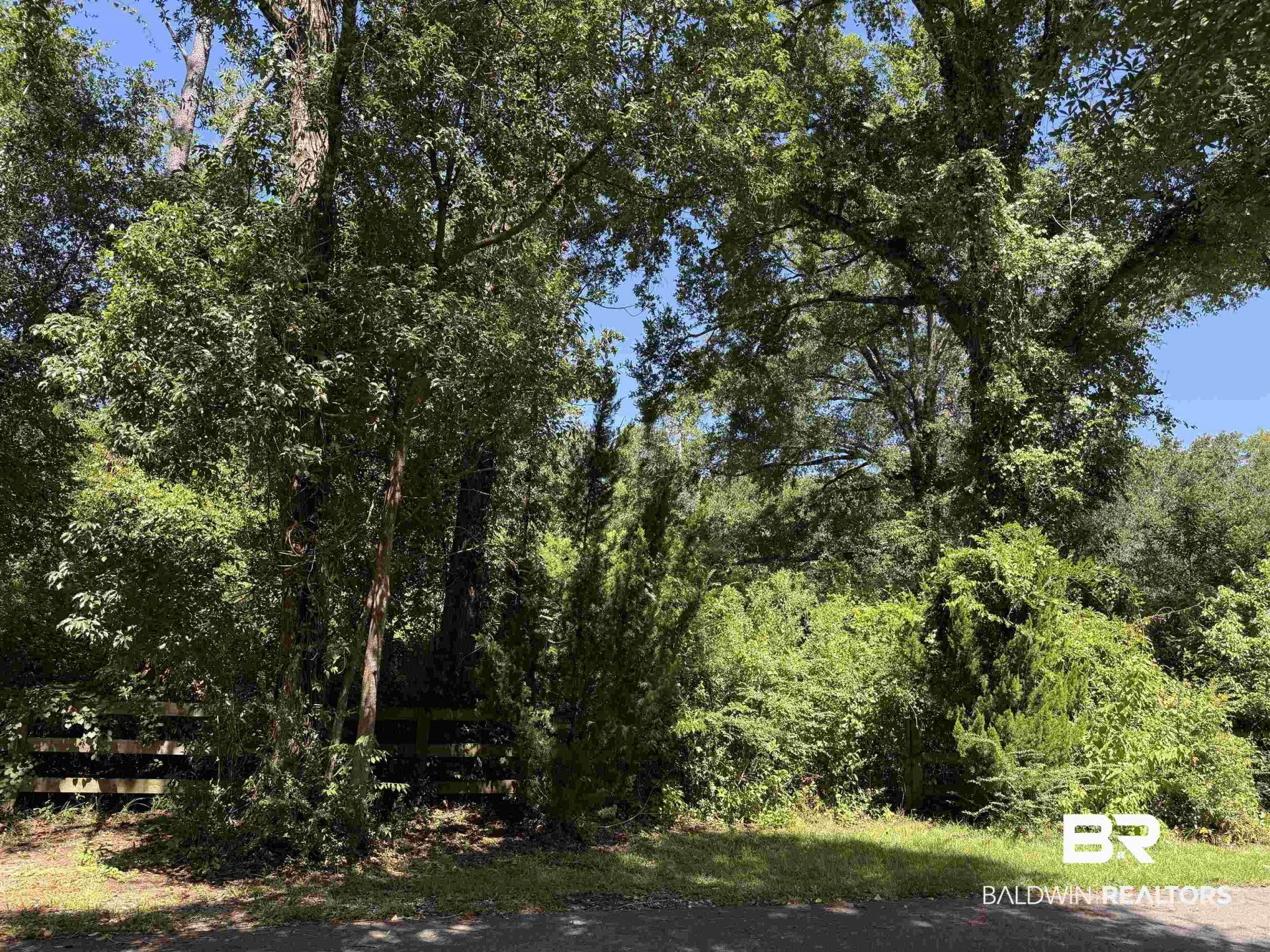Holly Street, Magnolia Springs, AL 36555 Main Photo