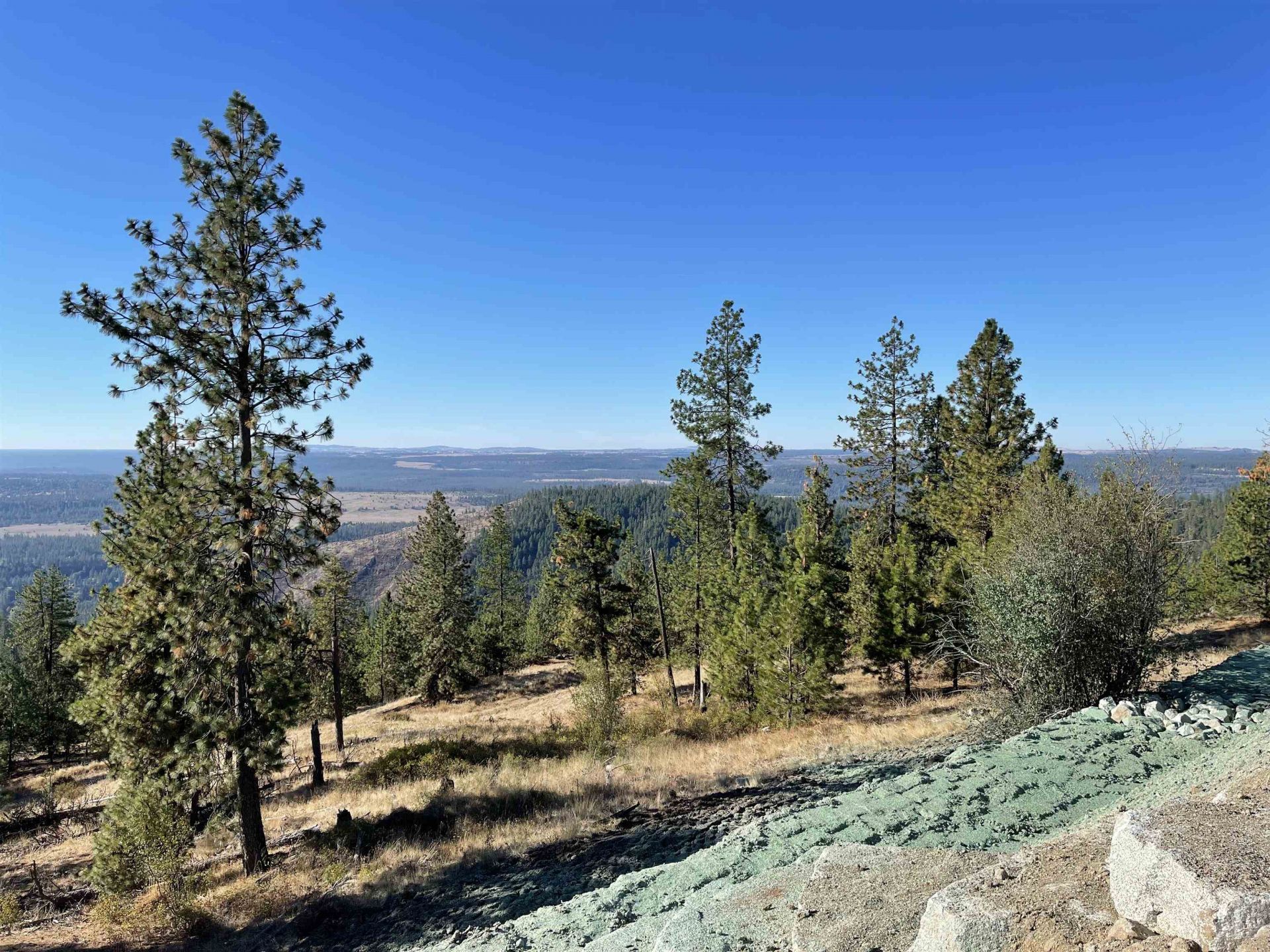 16221 N Soren Ln, Spokane, WA 99208 Main Photo