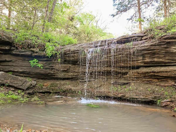 25598 County Road C-228 , Norwood, MO 65717