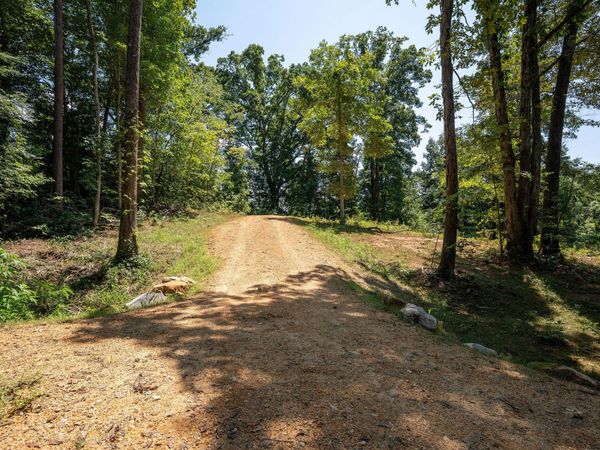 14.34 Ac Church Street, Valley Head, AL 35989