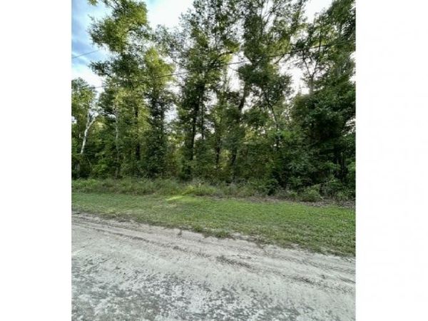 NE HOLLYWOOD BLVD, Mayo, FL 32066