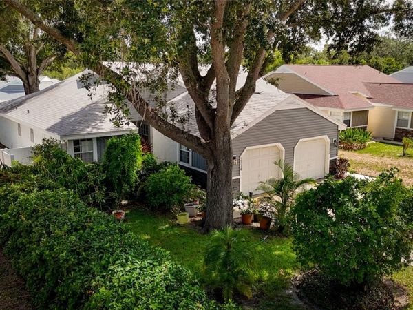 3174 PHLOX DRIVE, PALM HARBOR, FL 34684