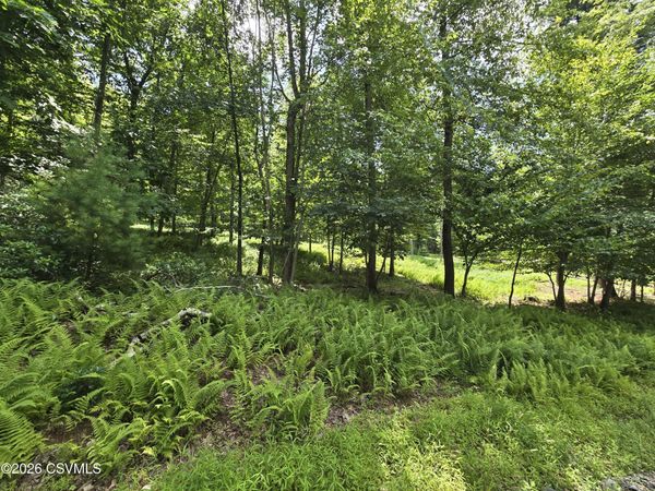 LOT 9 COMMUNITY POND Drive, Catawissa, PA 17820