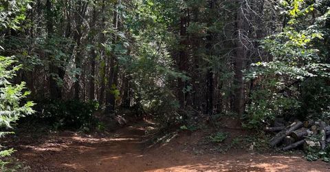 Caine, Alta, CA 95701 Photo