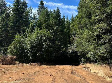 Caine, Alta, CA 95701 Photo