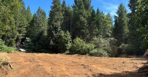 Caine, Alta, CA 95701 Photo