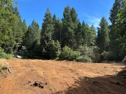 Caine, Alta, CA 95701 Photo