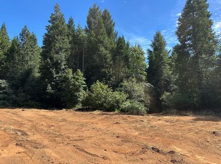 Caine, Alta, CA 95701 Photo