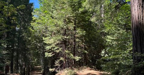 Caine, Alta, CA 95701 Photo