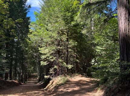 Caine, Alta, CA 95701 Photo