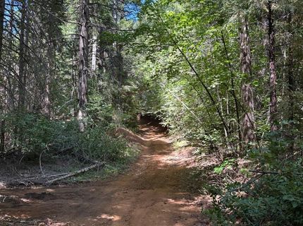 Caine, Alta, CA 95701 Photo