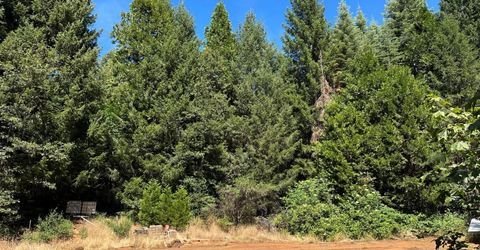 Caine, Alta, CA 95701 Photo