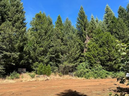 Caine, Alta, CA 95701 Photo
