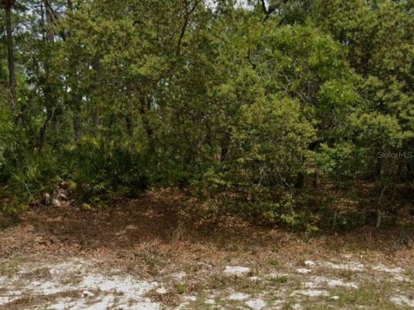 5732 N SUMMERFIELD POINT , DUNNELLON, FL 34434
