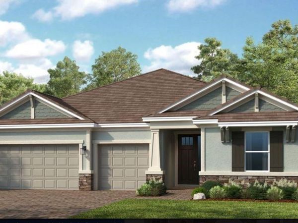 16224 ALPHA GROVE PLACE, ODESSA, FL 33556