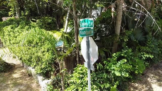 3564 Linden Ln , Miami, FL 33133 Photo