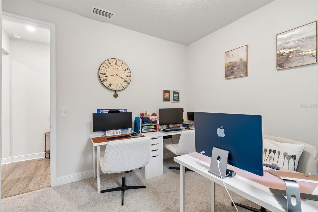 11512 Navel Orange Way, Tampa, FL 33626 Photo