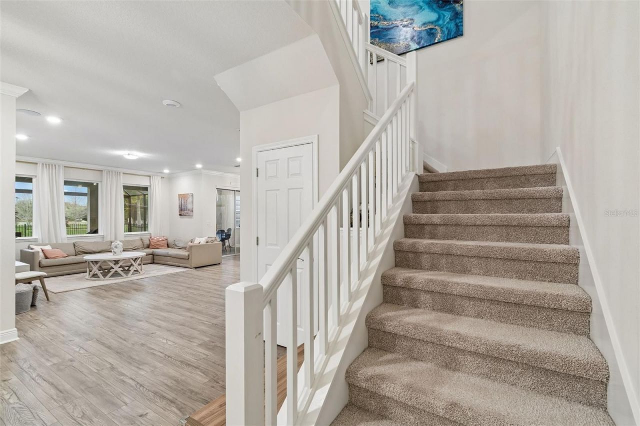 11512 Navel Orange Way, Tampa, FL 33626 Photo