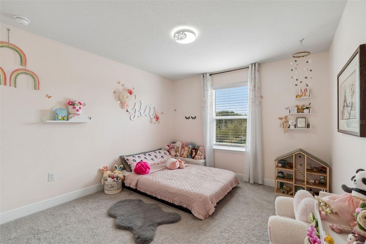 11512 Navel Orange Way, Tampa, FL 33626 Photo