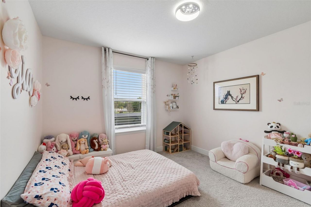 11512 Navel Orange Way, Tampa, FL 33626 Photo