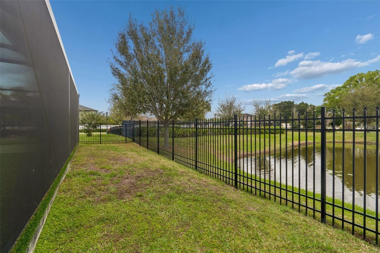 11512 Navel Orange Way, Tampa, FL 33626 Photo
