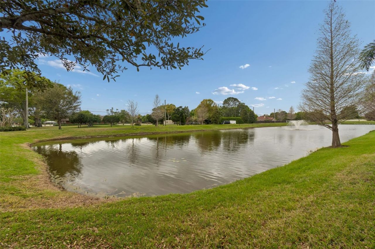 11512 Navel Orange Way, Tampa, FL 33626 Photo