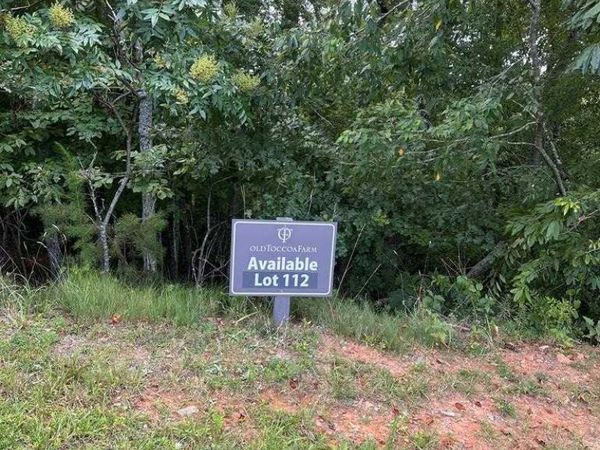 Lot 112 Fawn Way, Mineral Bluff, GA 30536