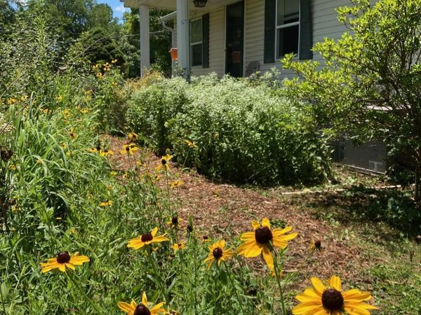231 Wright Rd, Oliver Springs, TN 37840