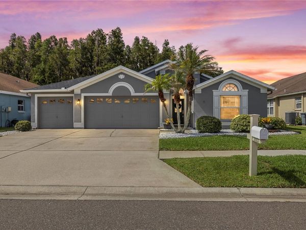 30923 IVERSON DRIVE , WESLEY CHAPEL, FL 33543