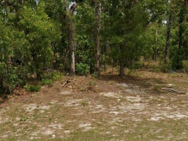 5689 N SUMMERFIELD POINT , DUNNELLON, FL 34434