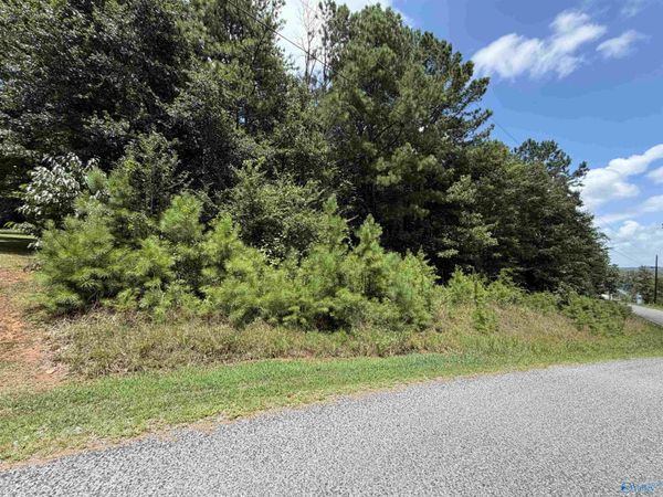 LOT 5 County Road 592, Leesburg, AL 35983