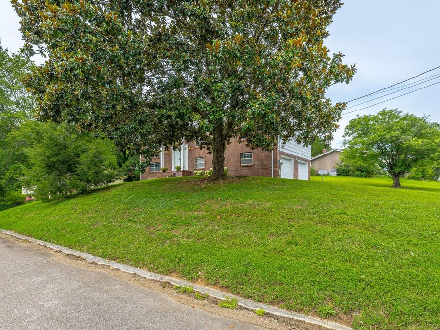 Property Image 40