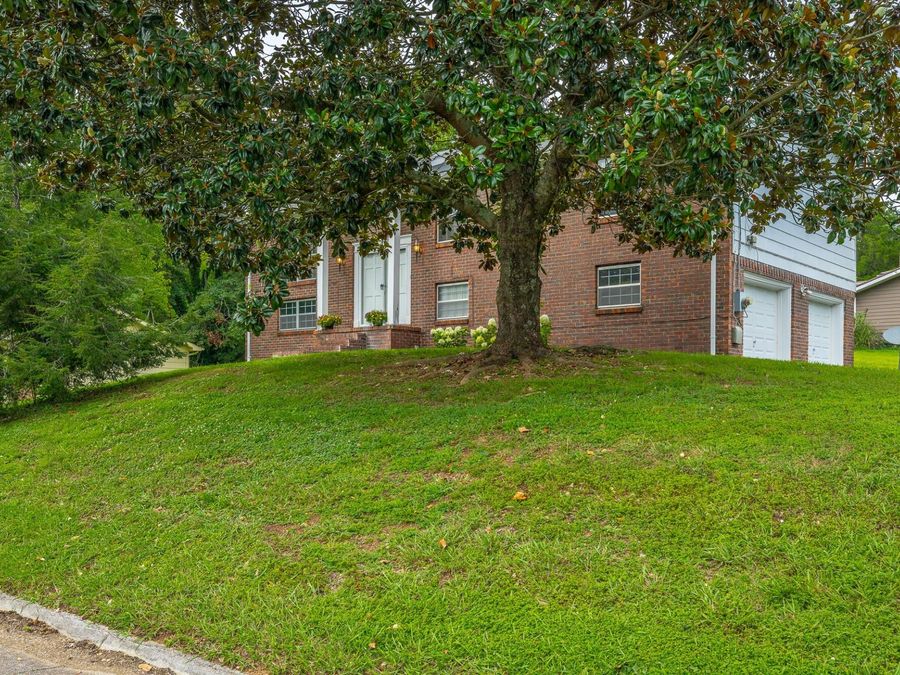 Property Image 41
