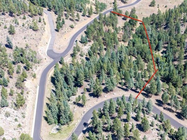 14850 Quandary Peak Road, Pine, CO 80470