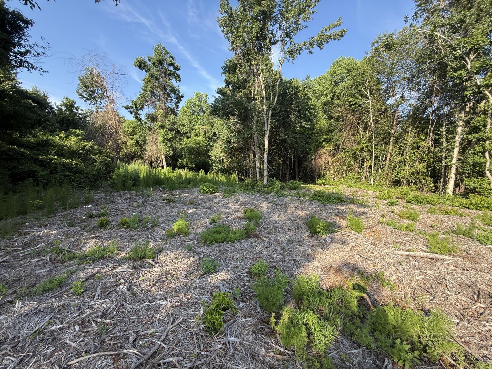 1402 Loblolly Photo 4