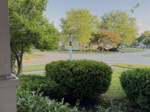 Main Photo