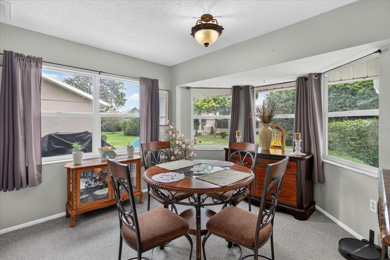 10508 Quimby Drive , Port Richey, FL 34668 Photo