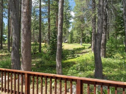 14356 Swiss Lane, Truckee, CA 96161 Photo