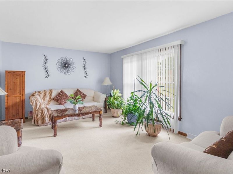 142 S Navarre Avenue, Austintown, OH 44515 Photo 5