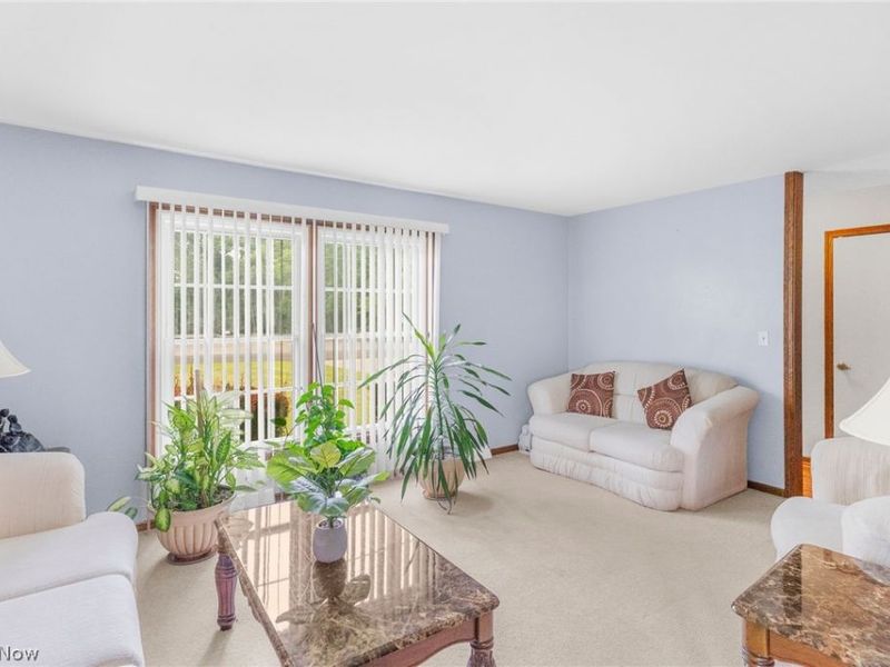142 S Navarre Avenue, Austintown, OH 44515 Photo 6